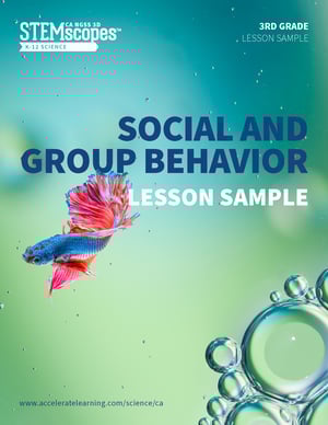 Social and Group Behavior Lesson Sample 